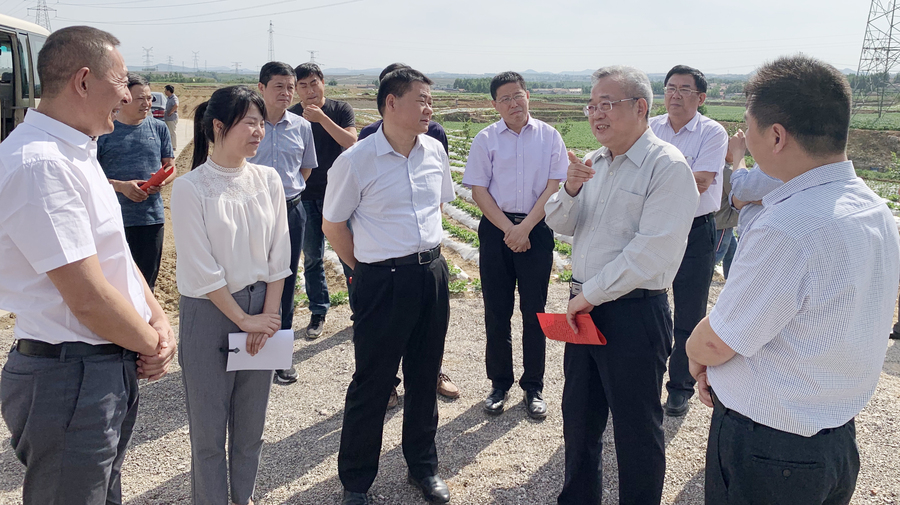 山东省自然资源厅一级巡视员王桂鹏带队来新泰岳家庄土地整治项目参观